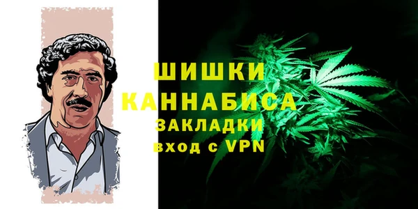 каннабис Новозыбков