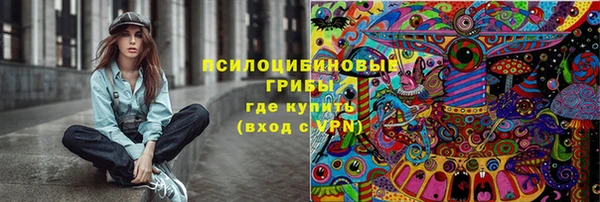 стафф Новодвинск