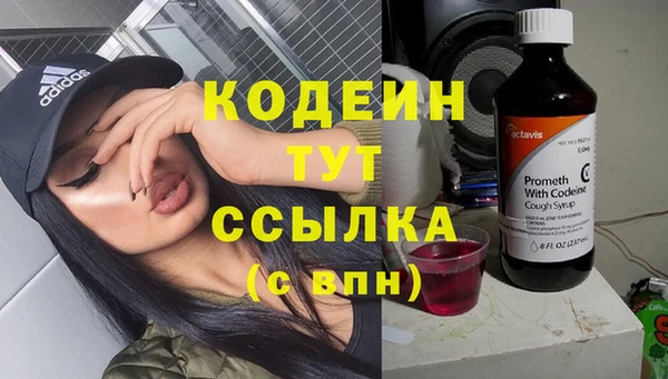 сатива Нязепетровск