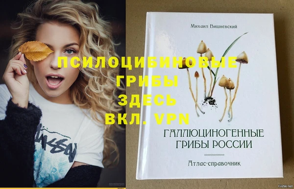 гидропоника Няндома