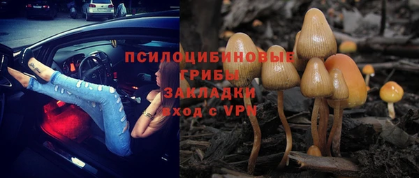 сатива Нязепетровск