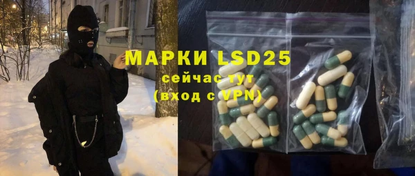стафф Новодвинск