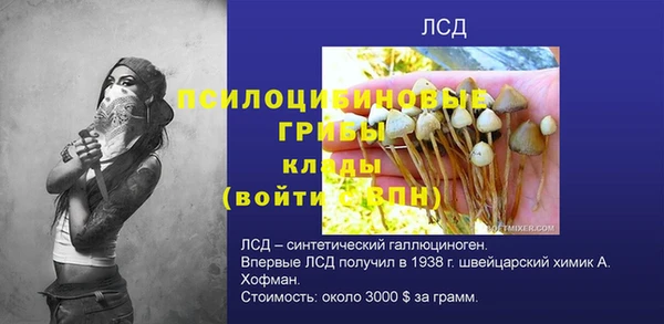 стафф Новодвинск