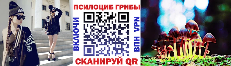 Псилоцибиновые грибы мицелий Нижнеудинск
