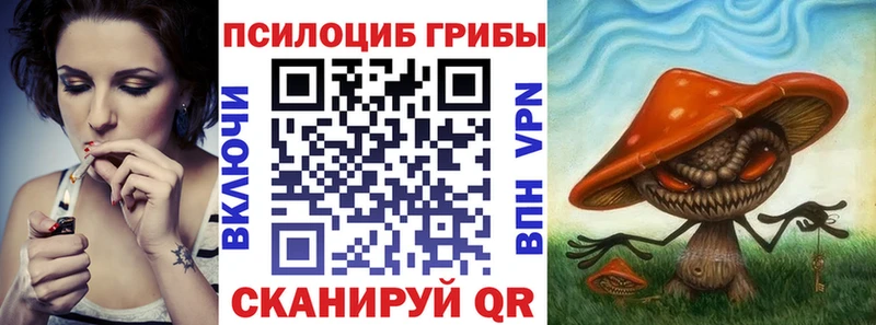 mega вход  Нижнеудинск  Псилоцибиновые грибы MAGIC MUSHROOMS 