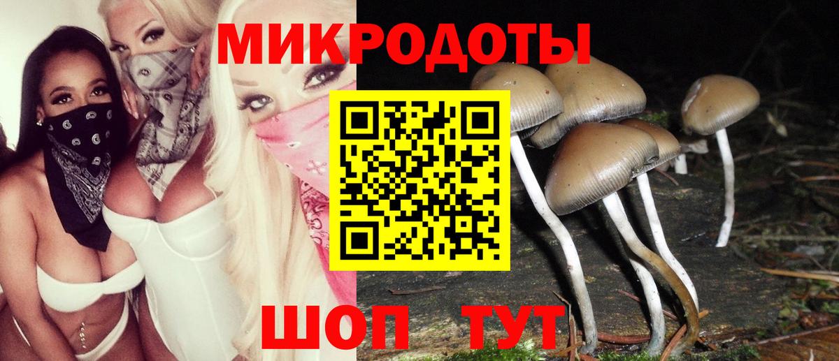 Галлюциногенные грибы Magic Shrooms Нижнеудинск