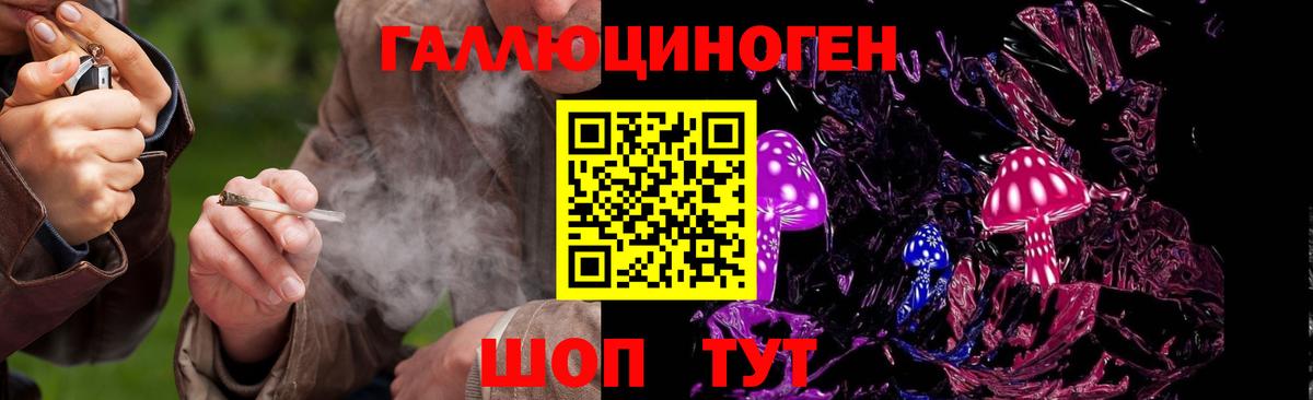 Галлюциногенные грибы мицелий  Нижнеудинск 