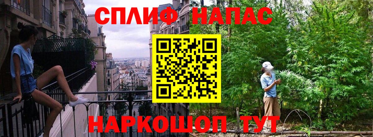 Каннабис план  Нижнеудинск  Каннабис сатива  Каннабис AK-47 